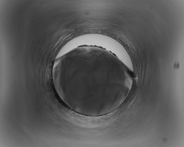 X0000099490035200806121402