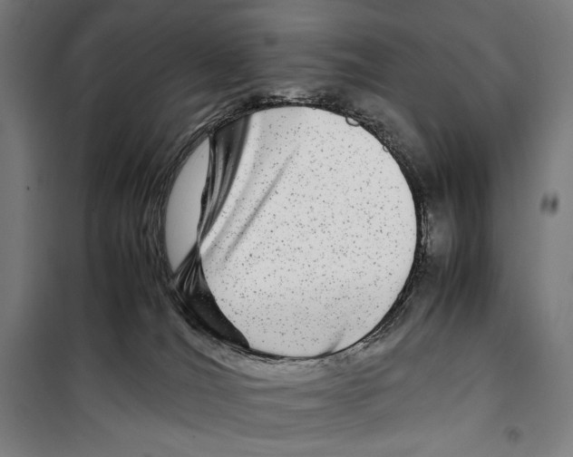 X0000099490036200806121402