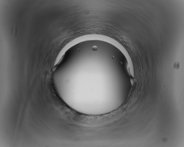 X0000099490037200806121402