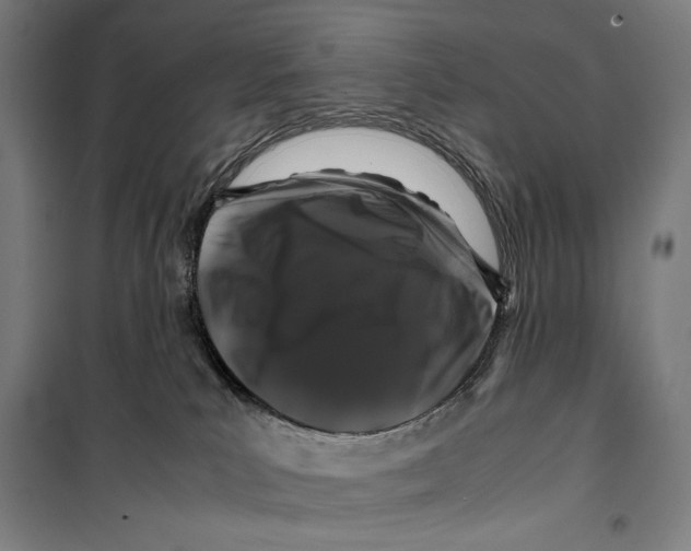 X0000099490039200806121402