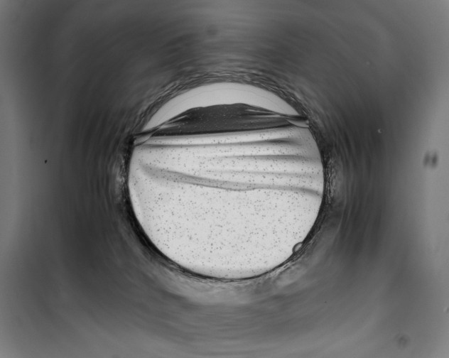 X0000099490040200806121402