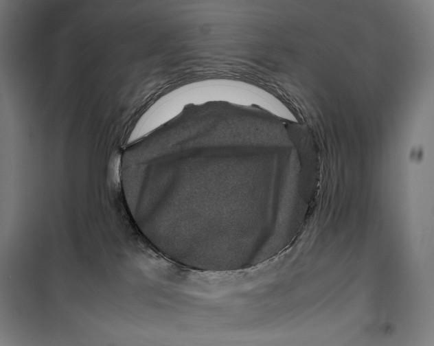 X0000099490041200806121402