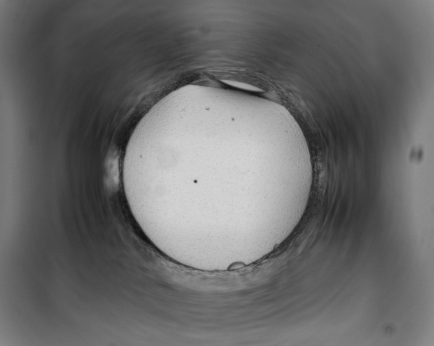 X0000099490042200806121402