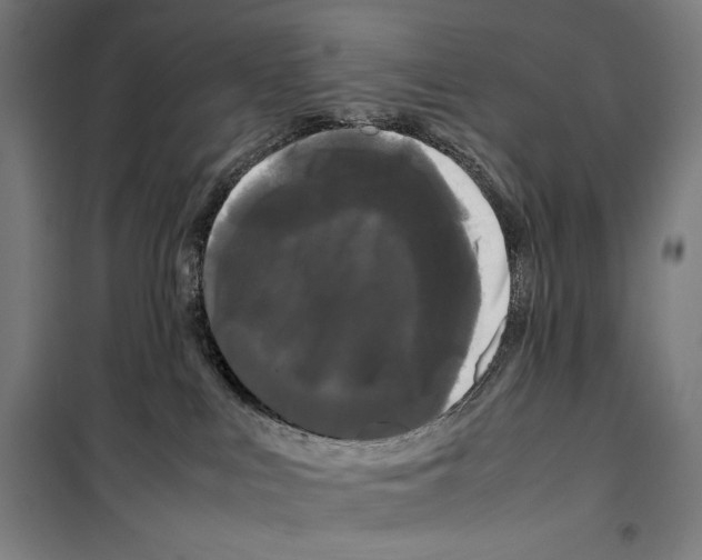 X0000099490043200806121402