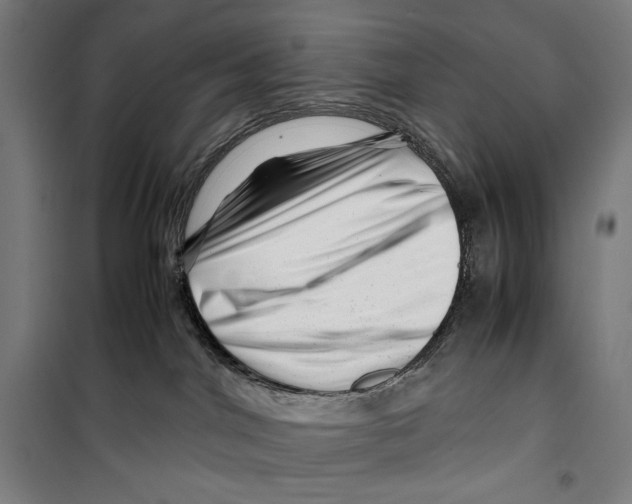 X0000099490044200806121402