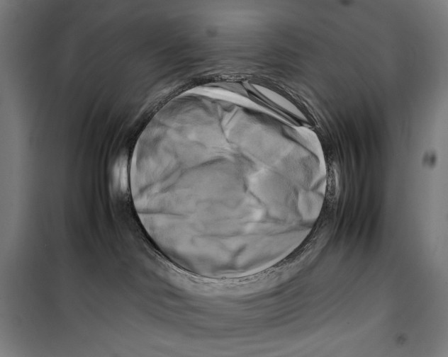 X0000099490046200806121402