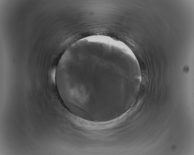 X0000099490047200806121402