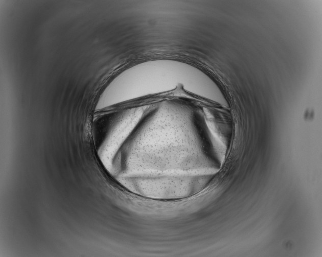 X0000099490048200806121402