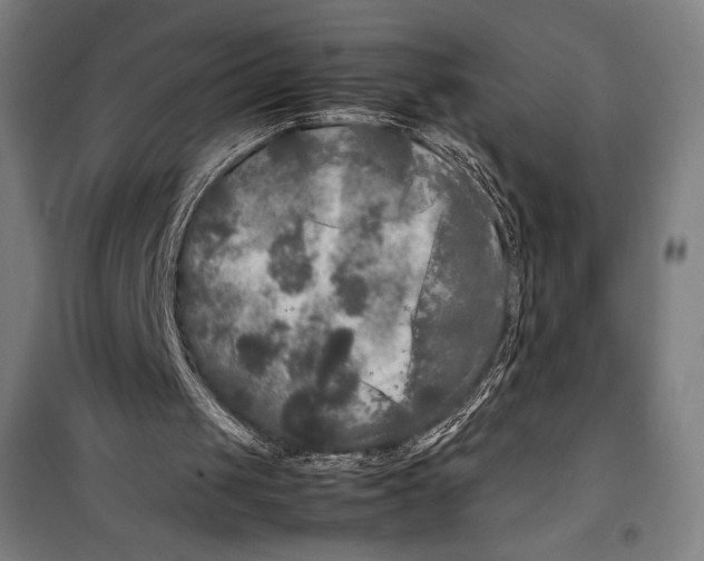 X0000099490049200806121401