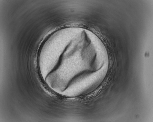 X0000099490050200806121401