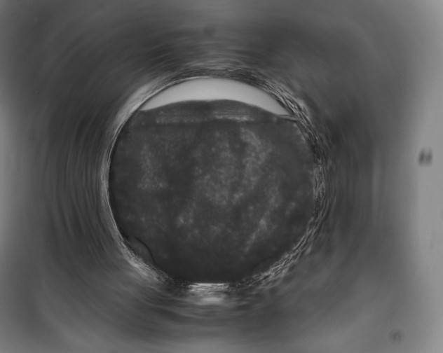 X0000099490051200806121401