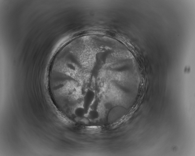 X0000099490053200806121401