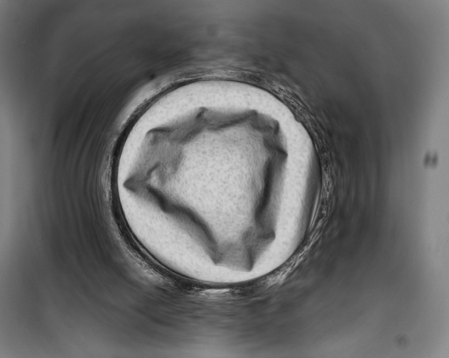 X0000099490054200806121401