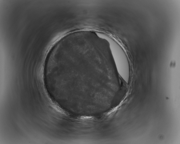 X0000099490055200806121402