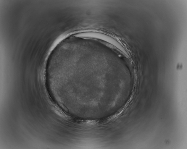 X0000099490056200806121402