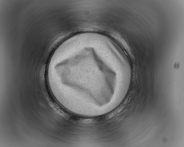 X0000099490058200806121402