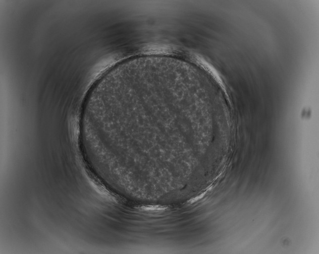 X0000099490059200806121402