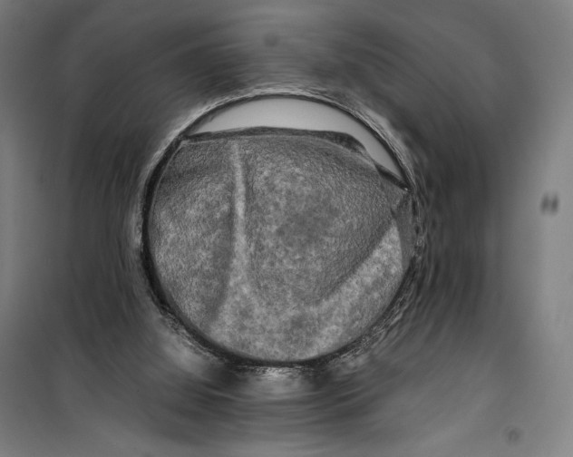 X0000099490060200806121402