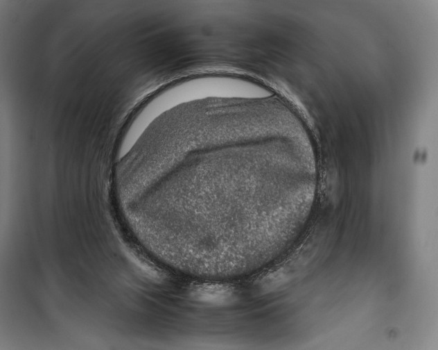 X0000099490063200806121402