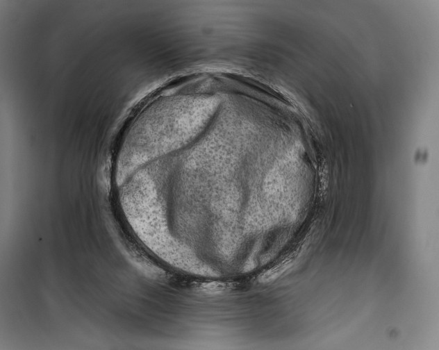 X0000099490064200806121402