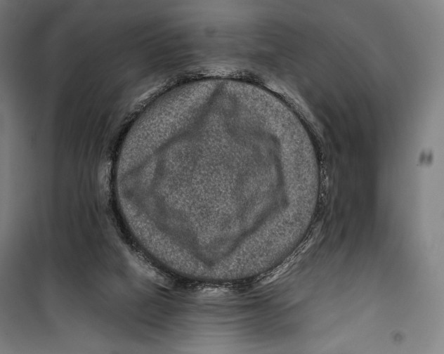 X0000099490066200806121402