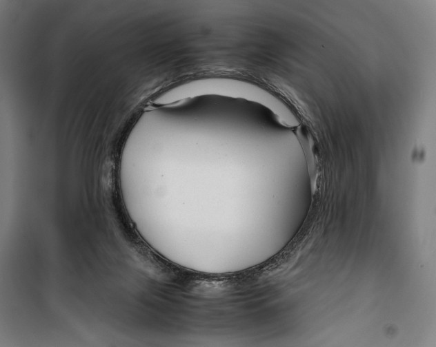 X0000099490071200806121402