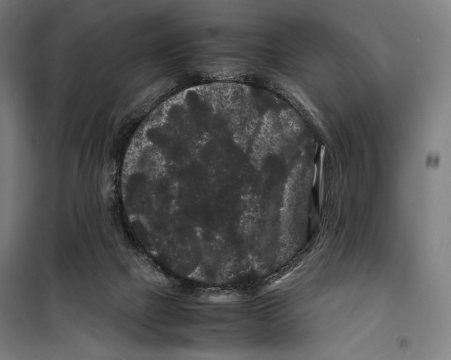 X0000099490073200806121402