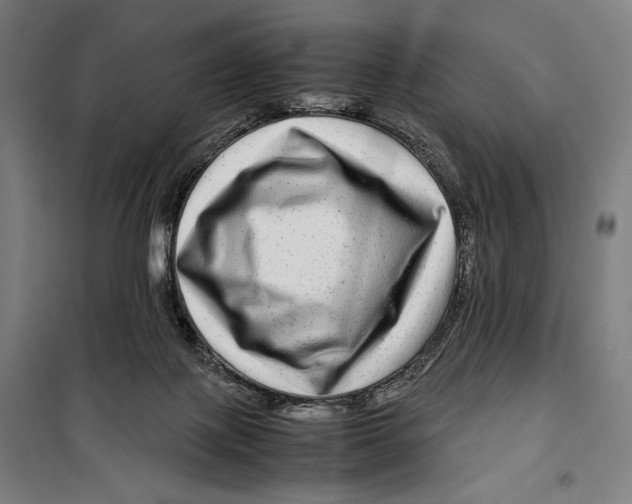 X0000099490075200806121402