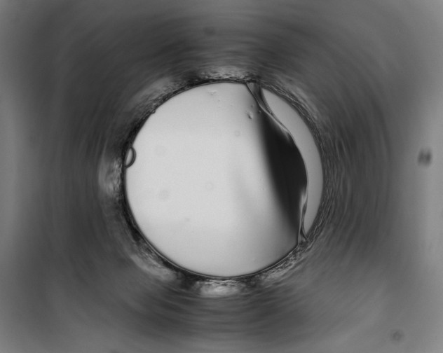 X0000099490077200806121402