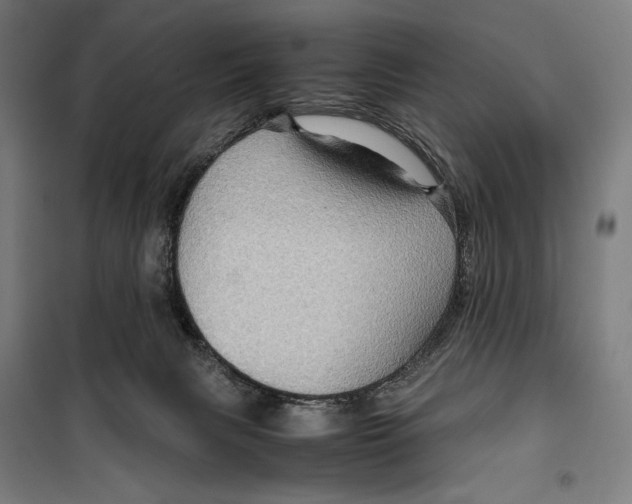 X0000099490079200806121402