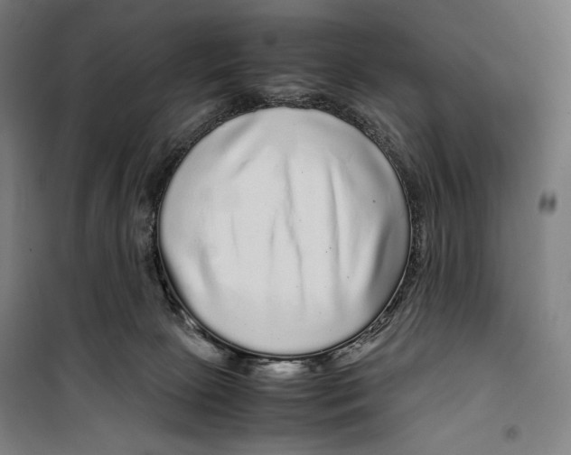 X0000099490081200806121402