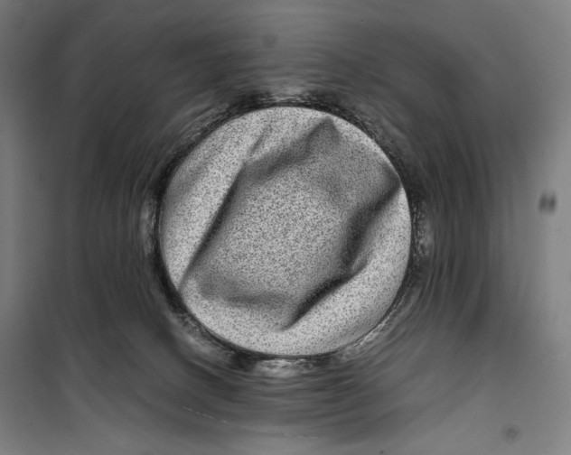 X0000099490082200806121402