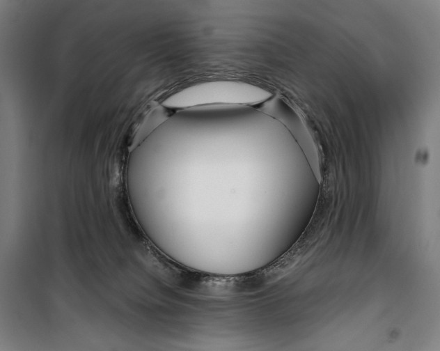 X0000099490084200806121402