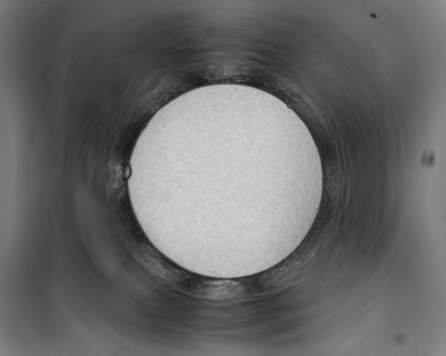 X0000099490087200806121402