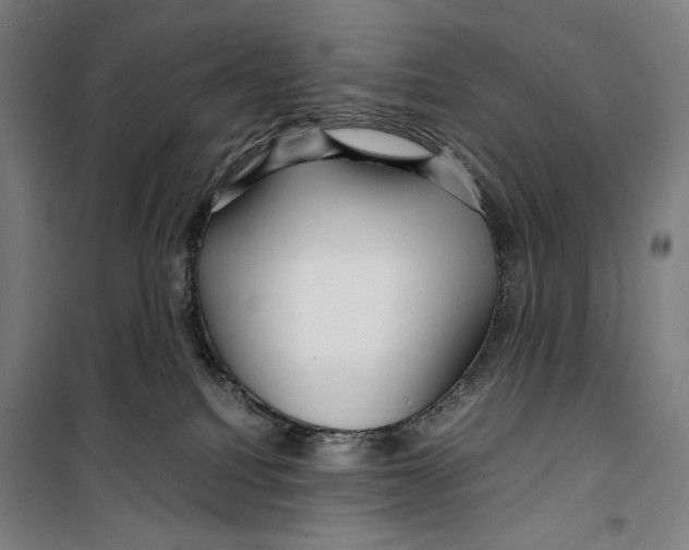 X0000099490088200806121402