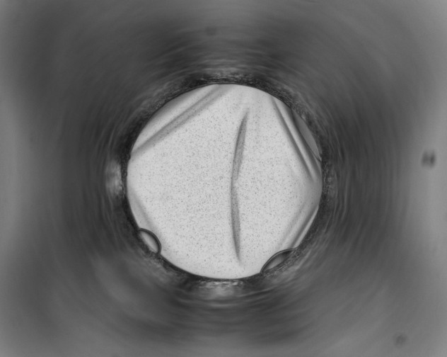 X0000099490089200806121402