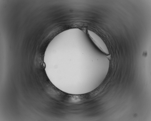 X0000099490091200806121402