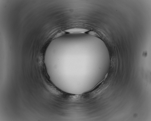 X0000099490092200806121402