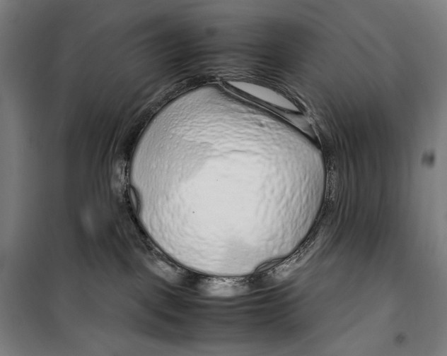 X0000099490093200806121402