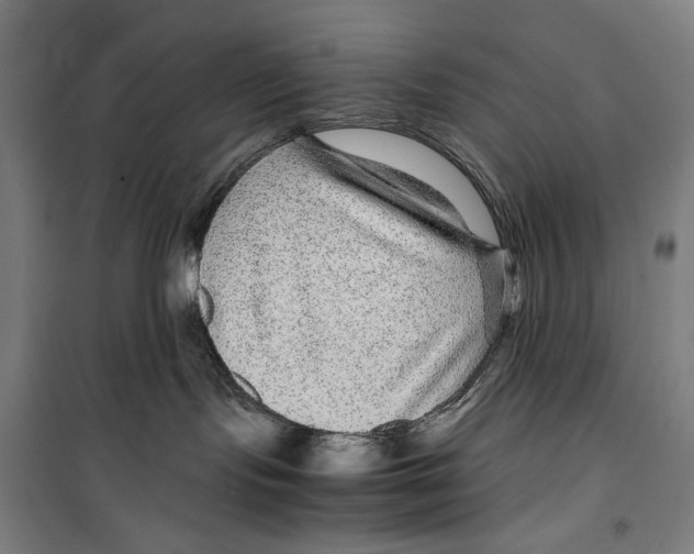 X0000099490095200806121402