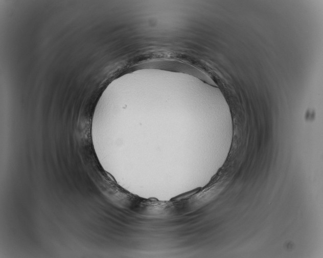 X0000099490096200806121402