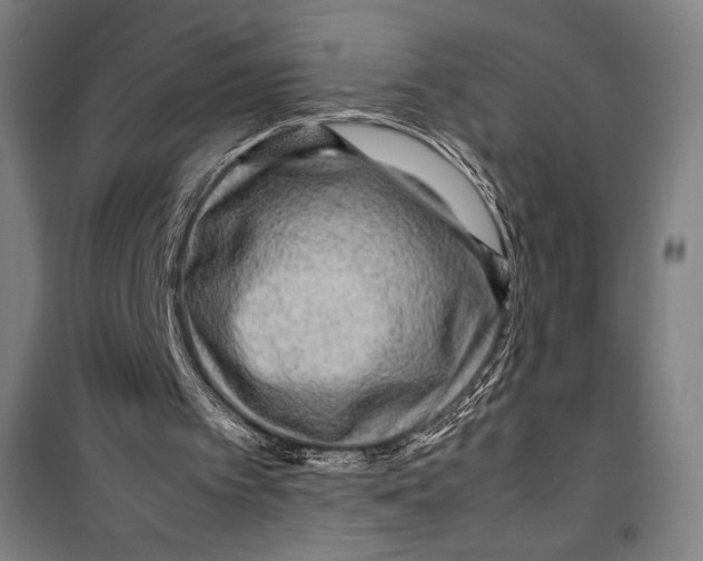 X0000099490097200806121401