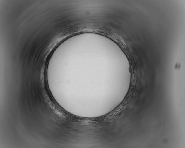 X0000099490098200806121401