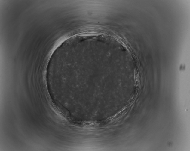 X0000099490099200806121401