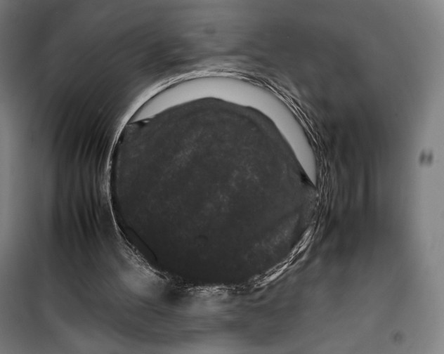 X0000099490100200806121401