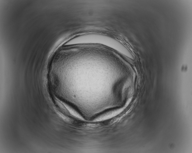 X0000099490101200806121401