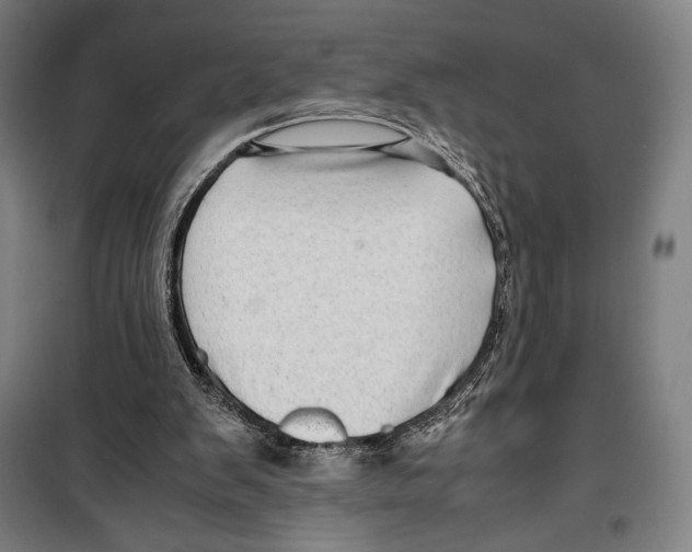 X0000099490103200806121401