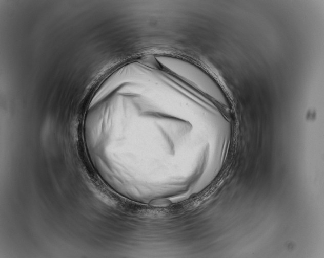 X0000099490106200806121401