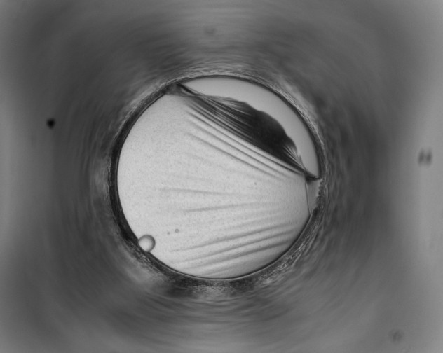 X0000099490107200806121401