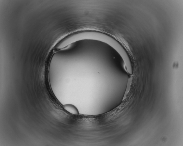 X0000099490108200806121401